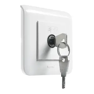 Выключатель с ключом Legrand 076630 Mosaic Photo 1