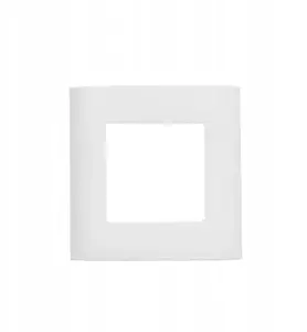 SecurityNET WP45X4522 Single Frame for 2 Modules