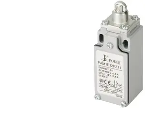 Pokój Limit Switch 2R Snap-Action Metal Housing with Steel Roller Plunger Ø10.5mm PAM1F12PZ02
