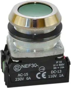 Promet W0-NEF30-K 2X Z Control Pushbutton 30mm Green Momentary 2NO