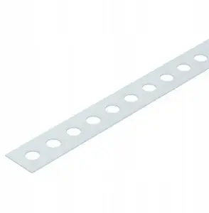 Перфорированная монтажная лента Bettermann MZ029 LI12 12x0,7 мм, 10 м