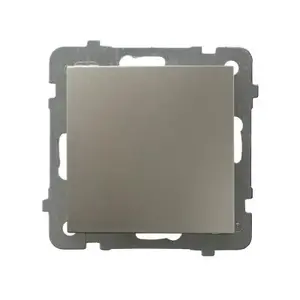 Ospel ŁP-1G/m/45 Single Switch, Satin Steel, 10A 250V