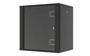 Lanview RWF12U45BL 19-inch Quick Assembly Wall Mount Cabinet