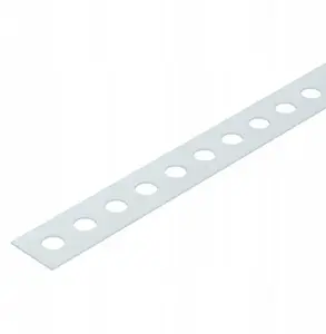 Bettermann MZ029 LII17 Perforated Mounting Band 17x0.7mm, 10m