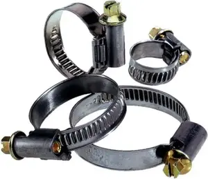 Lapp Silvyn SCH Worm Gear Hose Clamp, 40-60mm