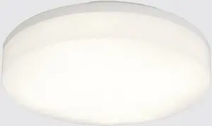 Потолочный светильник Lena Lighting GAMMA LED BASIC 280, 14 Вт, 1650 лм, 4000K, IP54