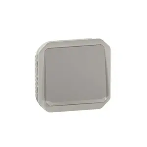Legrand 069542L Plexo 55 Single-Pole Push-Button Switch with Illumination 10A 250V Grey