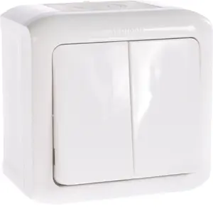 Legrand Forix Double Switch 10AX IP44 White