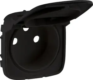 Накладка для розетки Legrand Valena Allure 2P+E Photo 1
