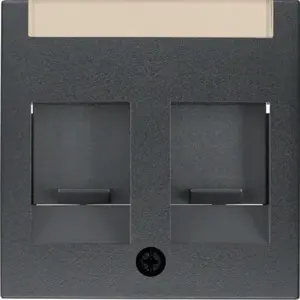 Berker 11811606 Central Plate with Dust Protection and Labeling Field for B.1/B.3/B.7 Series, Anthracite