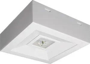 AWEX LOVATO N ECO LED Emergency Luminaire 3W 315lm 1h Maintained White