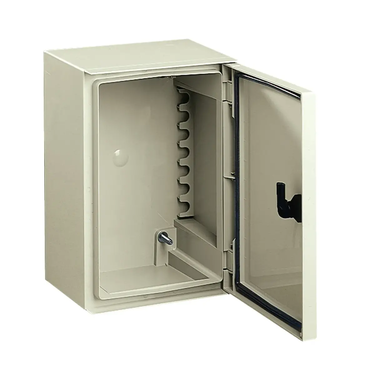 Настенный корпус Schneider Electric Thalassa NSYPLM32G Photo 2