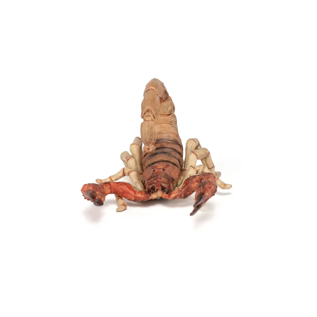 Фигурка животного Papo Скорпион Photo 4