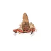 Фигурка животного Papo Скорпион Photo 4