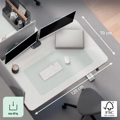 LEITZ Ergo Compact Electric Sit Standing Desk Photo 3