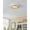 EGLO Carpi LED griestu gaismeklis | Misiņš un balts Photo 2