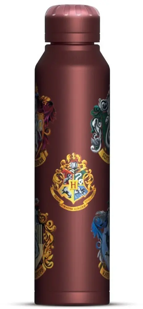 Pyramid Harry Potter Slim metāla ūdens