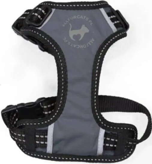 Pet Collars & Leashes