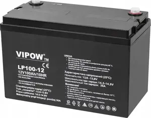 VIPOW 12V 100Ah Gel Battery