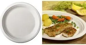 Papstar Pure Sugarcane Plate, Round, 260 mm, 50 Pieces, Compostable and Microwave Safe