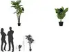 header-product