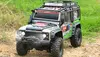 Amewi 22590 Dirt Fierce Tiger RC Off-road Car 1:10 Photo 2