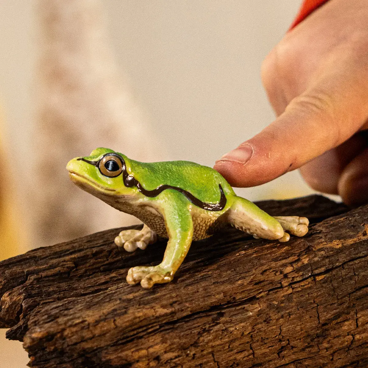 Фигурка Schleich WILD LIFE Европейская квакша Photo 2