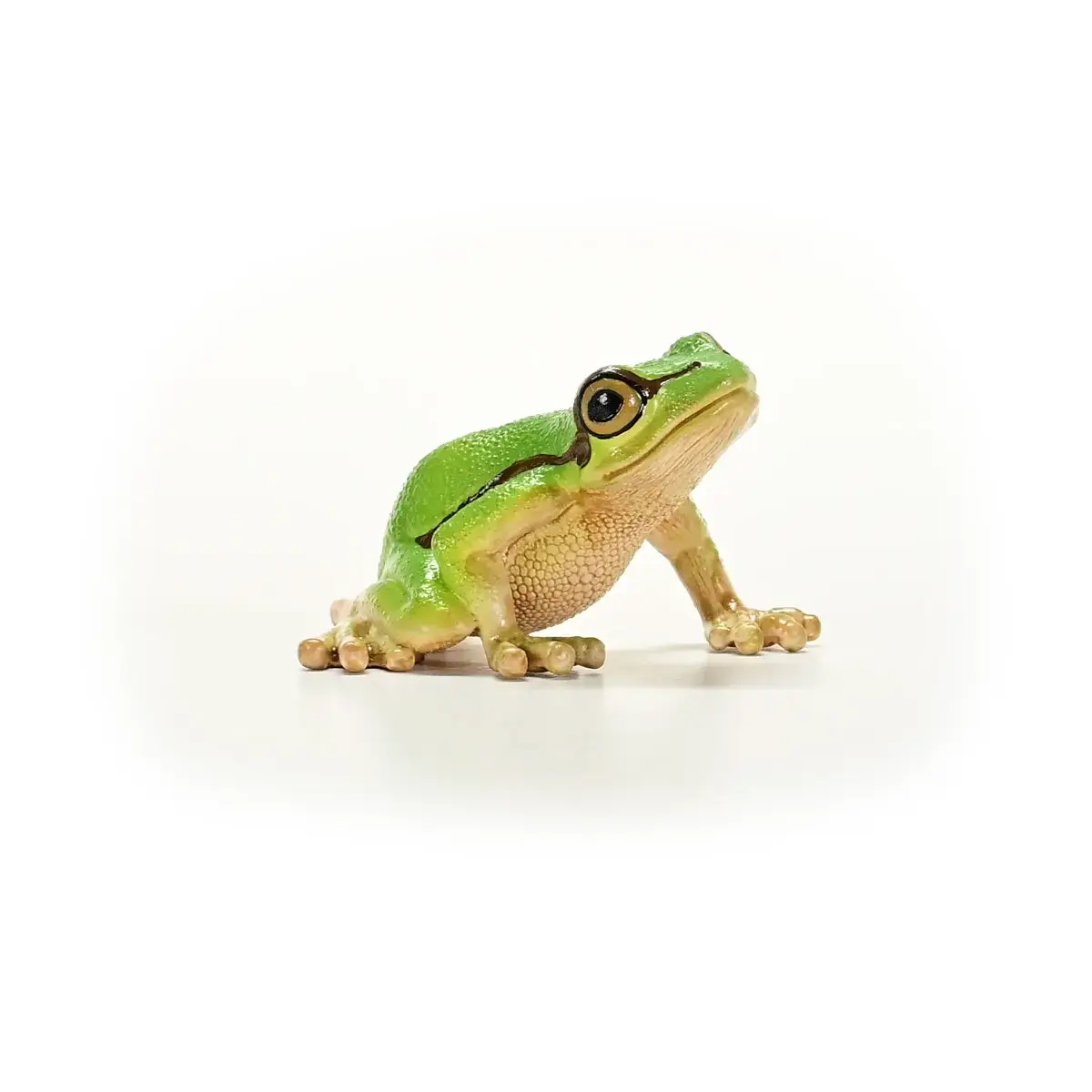 Фигурка Schleich WILD LIFE Европейская квакша Photo 6