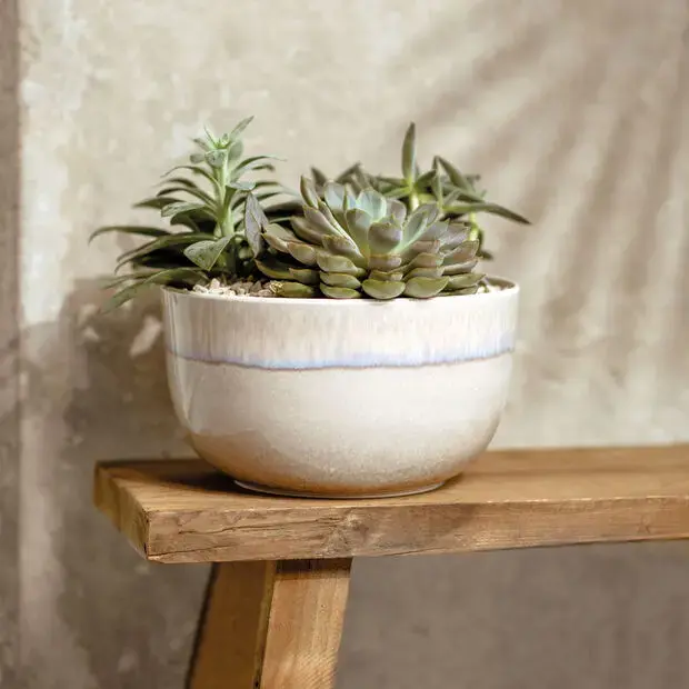 Декоративная чаша Villeroy & Boch Perlemor Sand 22 см Photo 3