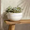 Декоративная чаша Villeroy & Boch Perlemor Sand 22 см Photo 3