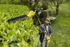 Аккумуляторный кусторез Karcher PHG 2-18 Photo 7