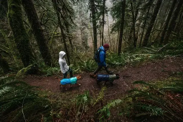 Куртка для собак Ruffwear Sun Shower размер S Photo 10