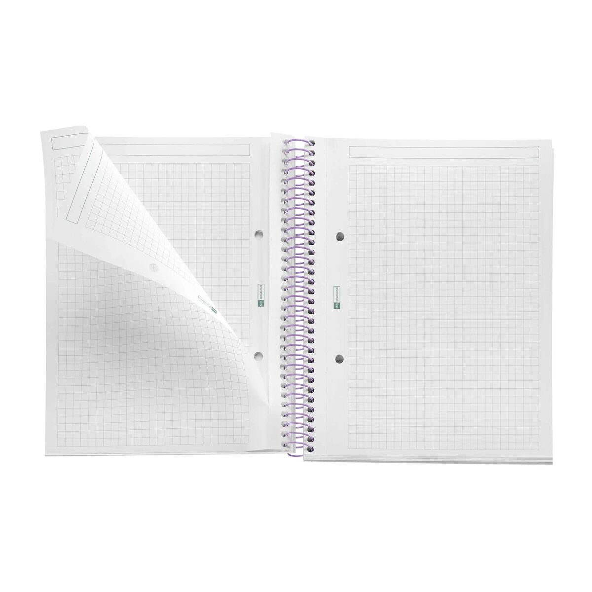 School Notebooks