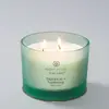 Chesapeake Bay Balance & Harmony Wax Candle Photo 2