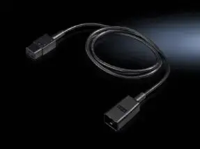 Rittal DK 7200.217 Power Cable C20 to C19 Coupler 1.8 m