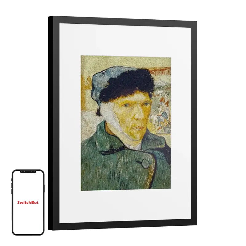 Digital Photo Frames
