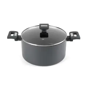 Salter BW14726 Alto Stockpot 24 cm