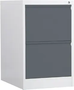 Phoenix Safe FC1002GAK 2-Drawer Filing Cabinet, Anthracite