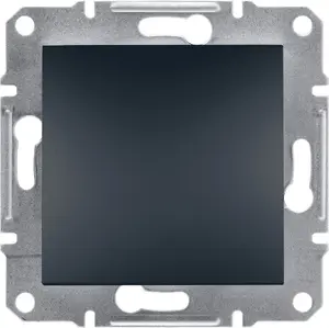 Schneider Electric Asfora 2-pole switch, anthracite, without frame