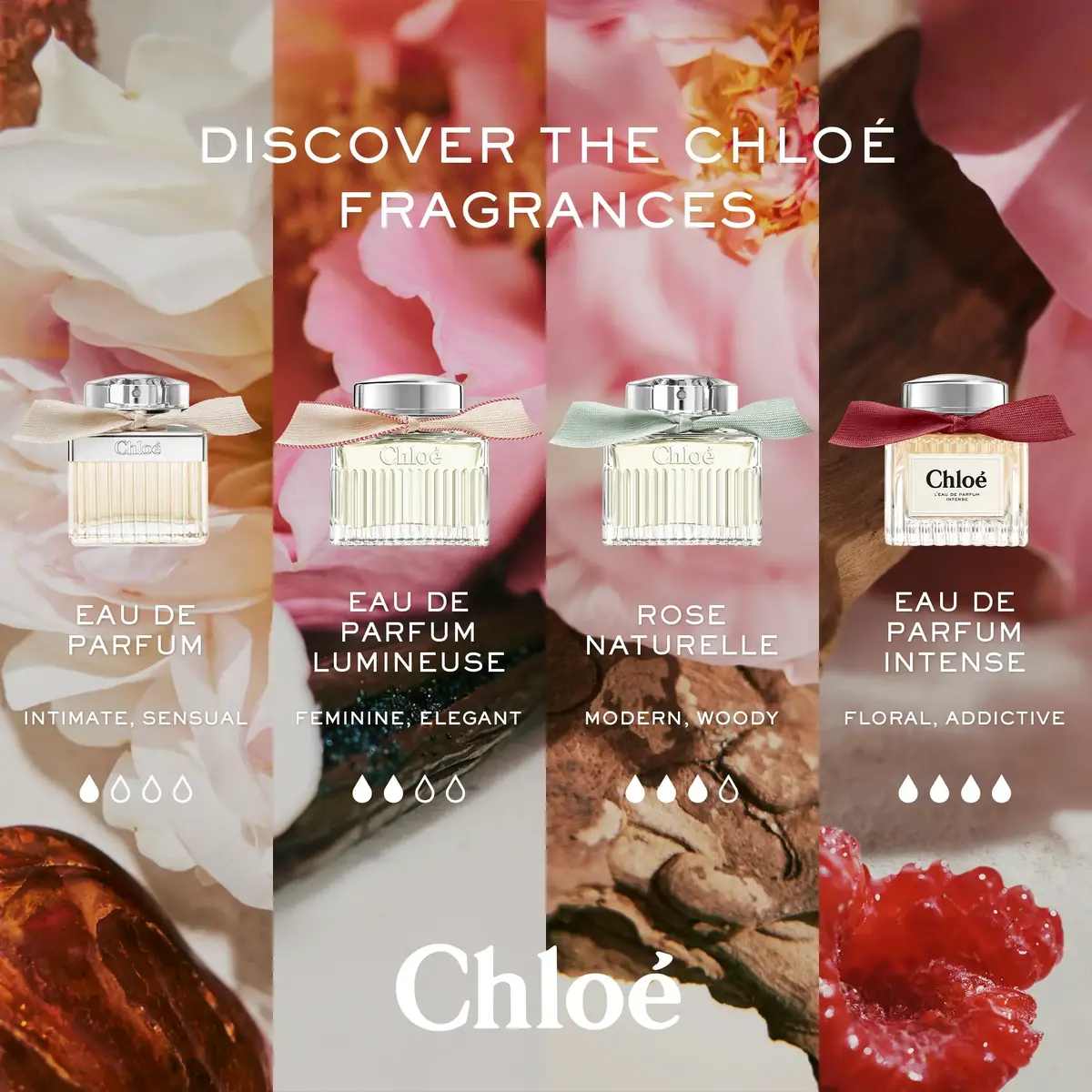 Парфюмерная вода Chloé L'Eau de Parfum Intense для женщин 30 мл Photo 9