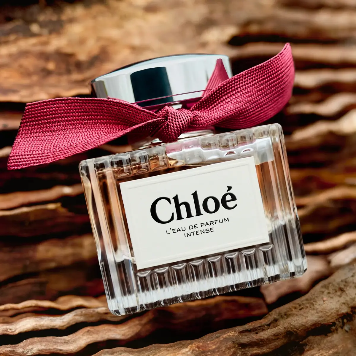Парфюмерная вода Chloé L'Eau de Parfum Intense для женщин 30 мл Photo 11