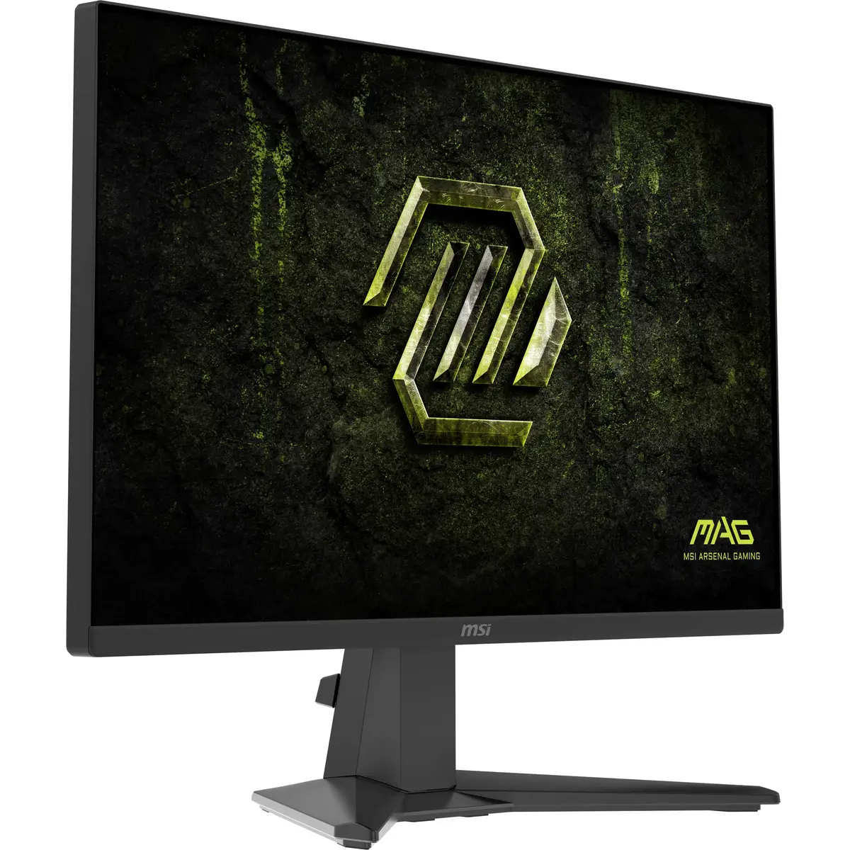 Компьютерный монитор MSI MAG 255F X24 24.5 дюйма Full HD Photo 13