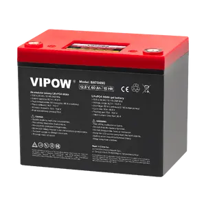 VIPOW LiFePO4 Battery 60Ah with BMS
