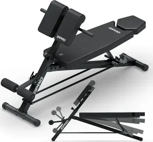 Zipro Core Rookie Adjustable Roman Chair with Preacher Curl Bench