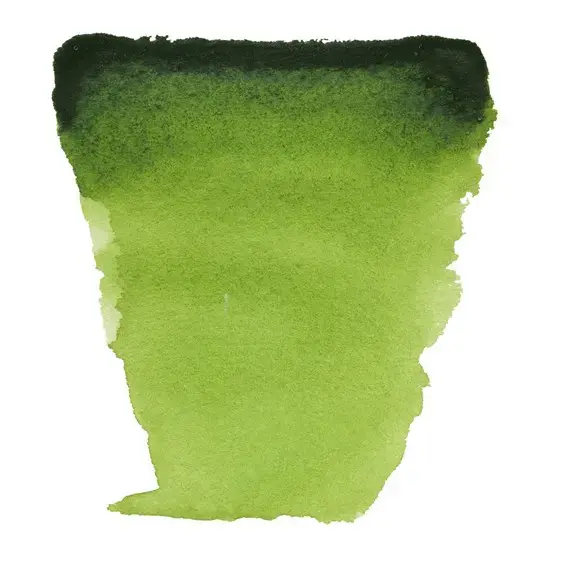 Talens Van Gogh 623 Sap Green Watercolour Paint 10 ml Photo 2