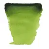 Talens Van Gogh 623 Sap Green Watercolour Paint 10 ml Photo 2