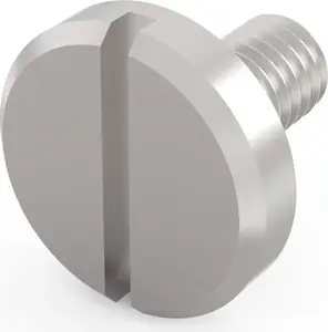 SCHROFF M3x6 Drive Mounting Screws, 100 Pieces