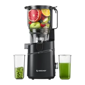 AMZCHEF SJ-036CBK Slow Juicer, Black
