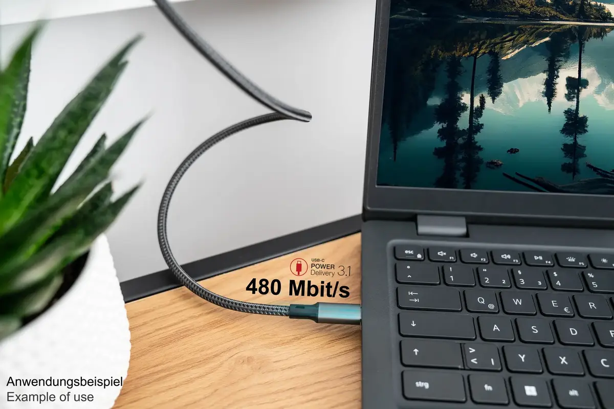 Digitus 2240-CCT005A USB-C uz USB-C kabelis 0.5 m Photo 6