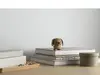 Коллекционная фигурка Hoptimist Dog Photo 2